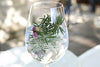 sloe gin